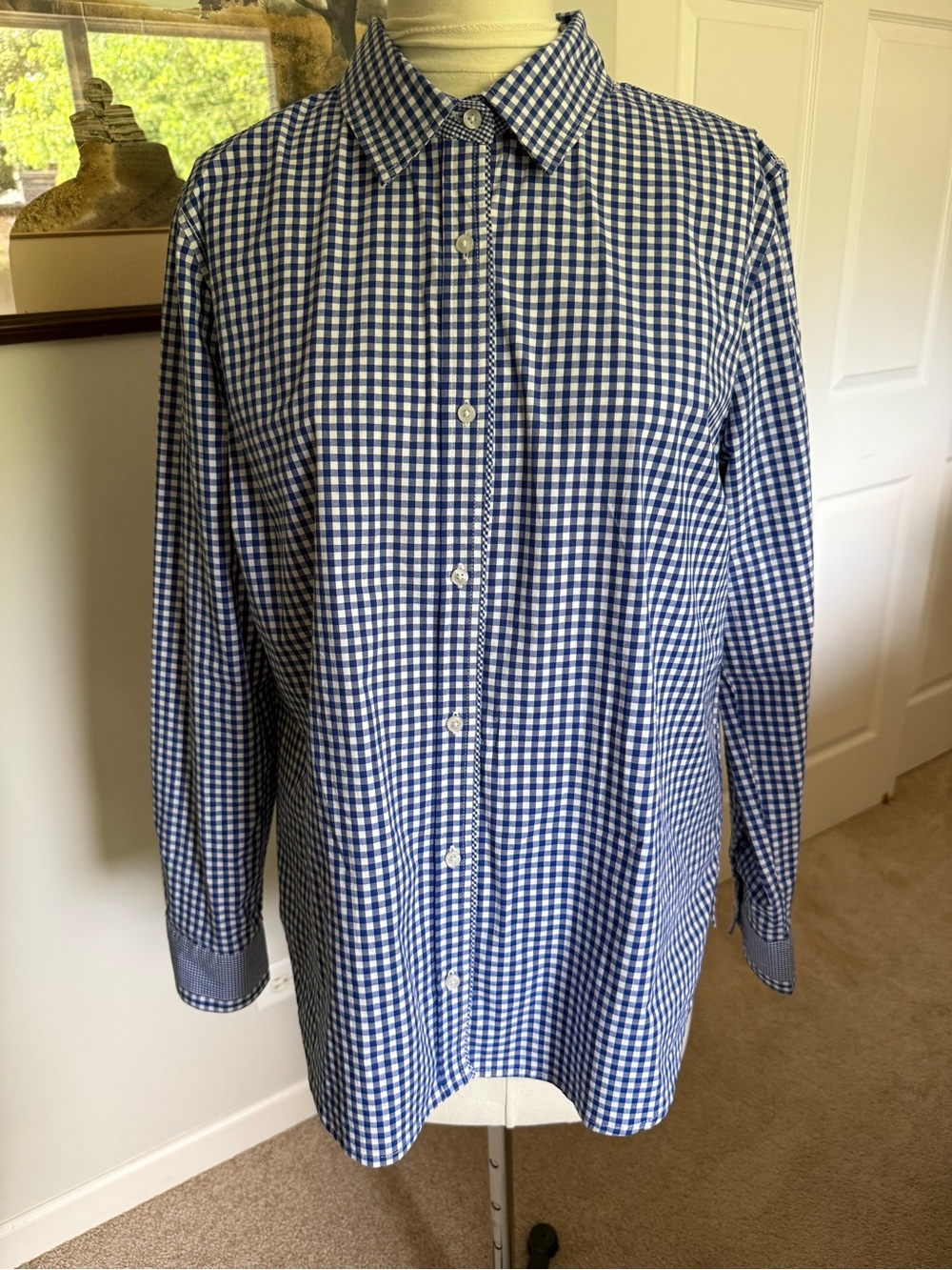 IZOD Blue Gingham Button Down